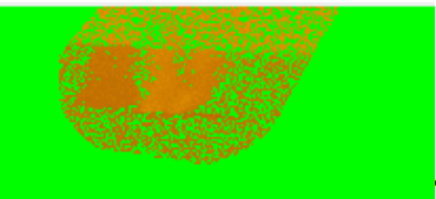 Pixellisation auto