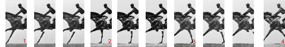 Images de l'animation gif pour animation suppltive du zootrope