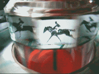 animation .gif de notre praxinoscope pdagogique